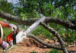 Lawn Pest Prevention in Carnot Moon, PA